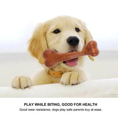 Dogs Bone Chew Toys